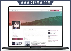 WordPress仿推特社交风格主题 &n