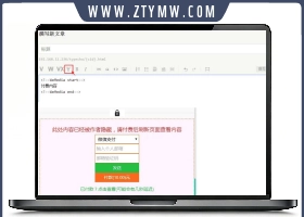 付费阅读自媒体插件源码 文章付