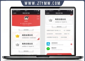 最新Discuz支付购买会员组商业版
