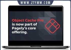 Redis Cache Pro 1.21.3专业版 
